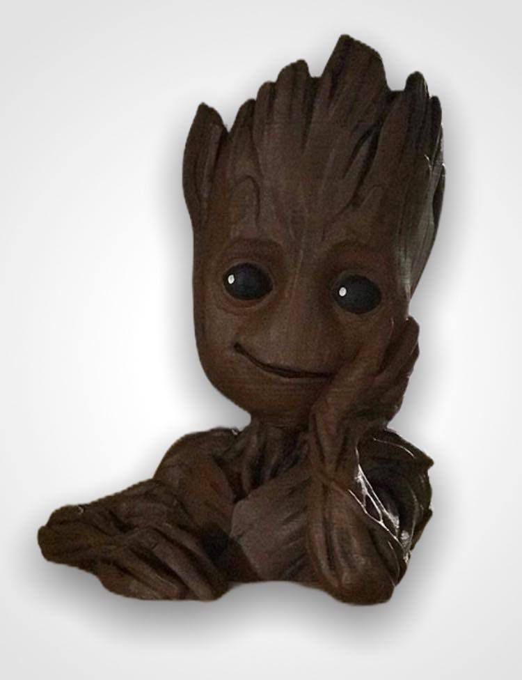 Maceta Groot